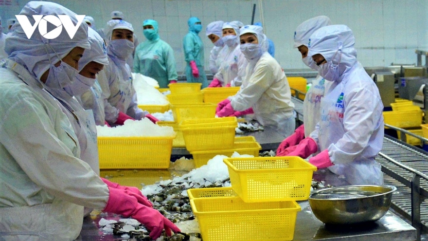 Ồ ạt mua vào, Trung Quốc thành khách hàng lớn nhất của tôm cá Việt Nam